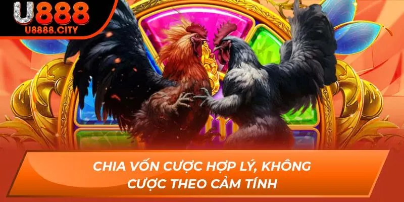 Chia vốn cược hợp lý, không cược theo cảm tính